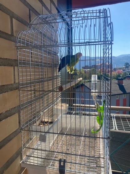 Cage Hanging Bird Feeder - Image 3